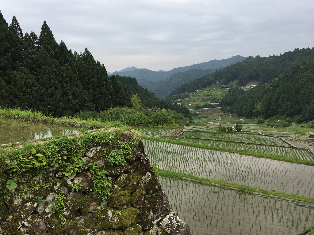 中から(高い石積)