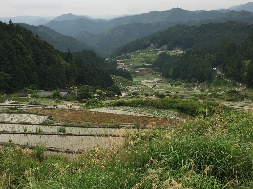 上から(展望台)